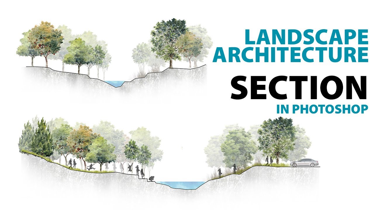 Landscape Architecture Section in Photoshop | Free watercolor trees