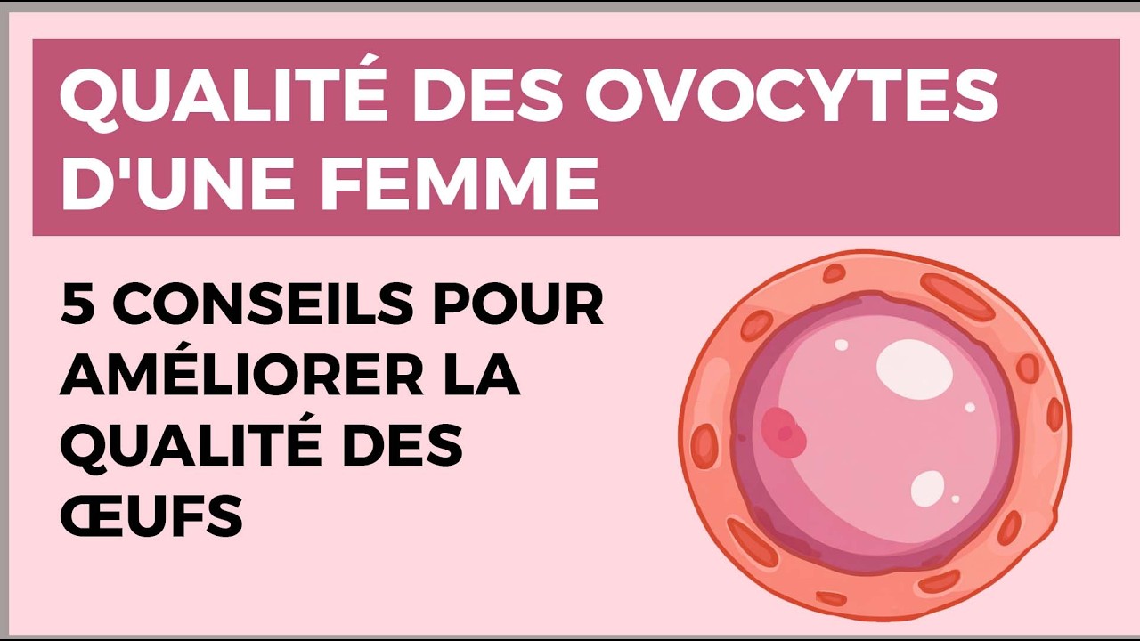 Qualité des ovocytes d'une femme