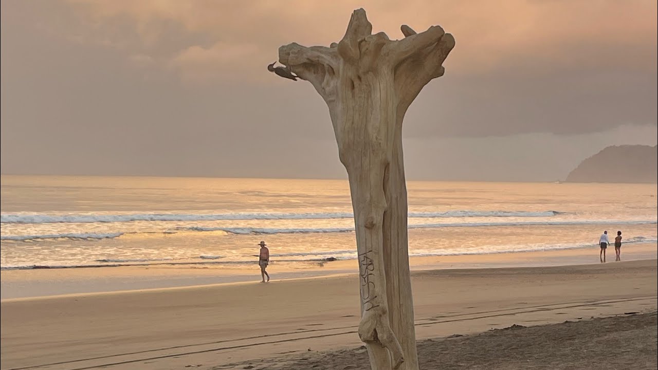 18 марта 2026. Практика Благодарности. Обновляется в 5 утра и 7 вечера МСК