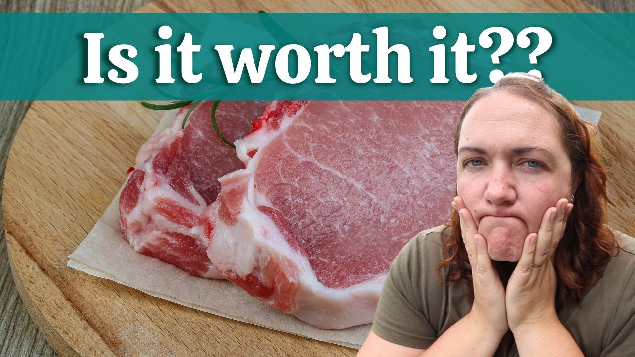 Стоит ли разводить свиней породы Кунекуне на мясо?