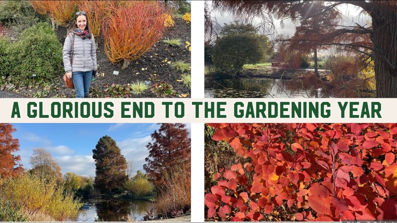 A Visit to RHS Hyde Hall