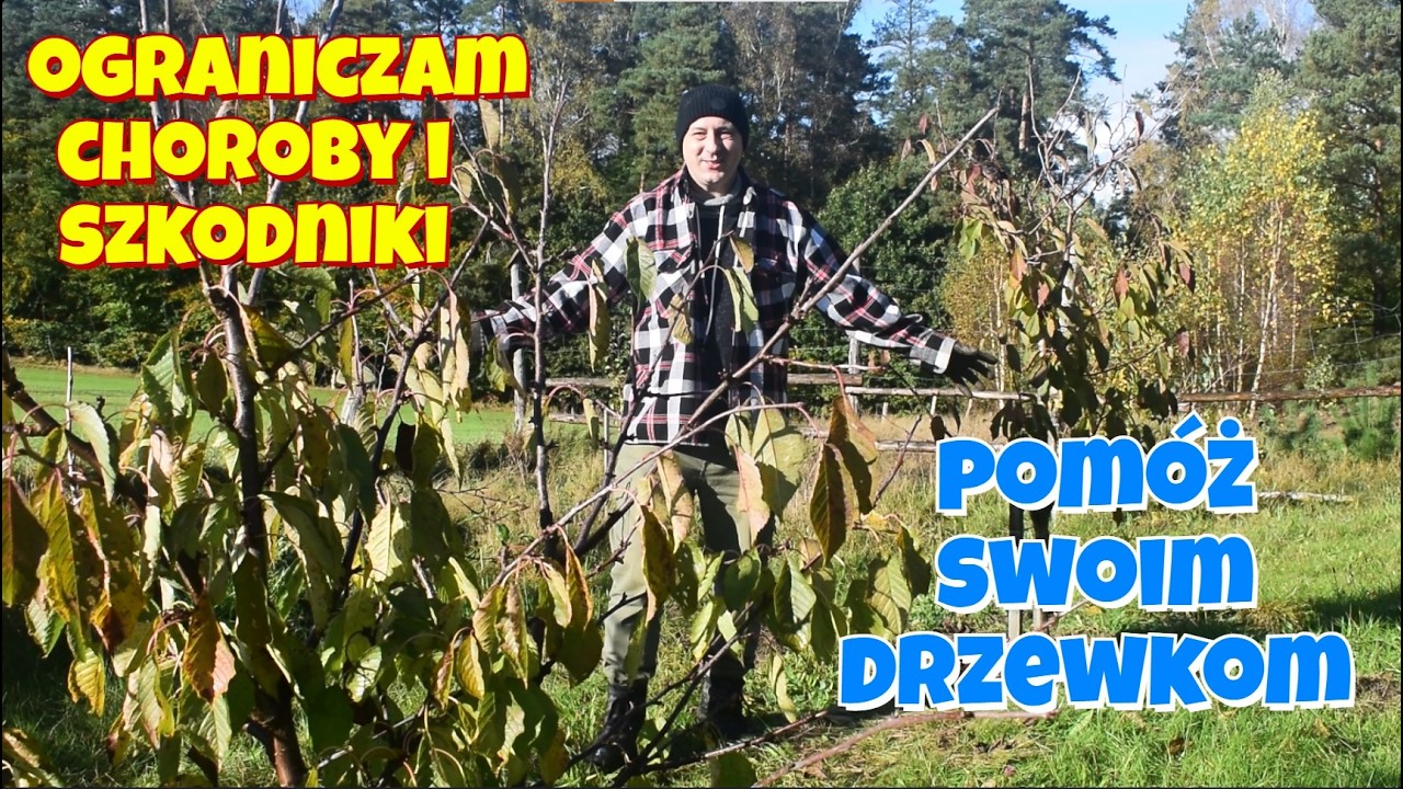 Mocznik - sanitarny oprysk jesienny. Kiedy stosować? Jak? Po co? Jak działa?