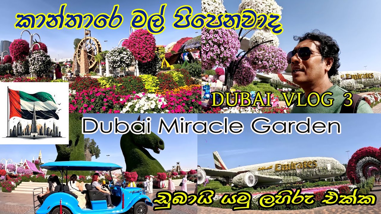 ලොකුම මල් උයනද මේ 😍 world's largest flower garden DUBAI Miracle Garden 🧡 ඩුබයි යමු නිවාඩුවකට