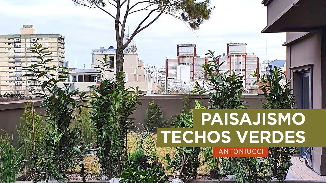 Paisajismo & Arquitectura. Edificios con techo verde. Rooftop green. Techos ecológicos sustentables.