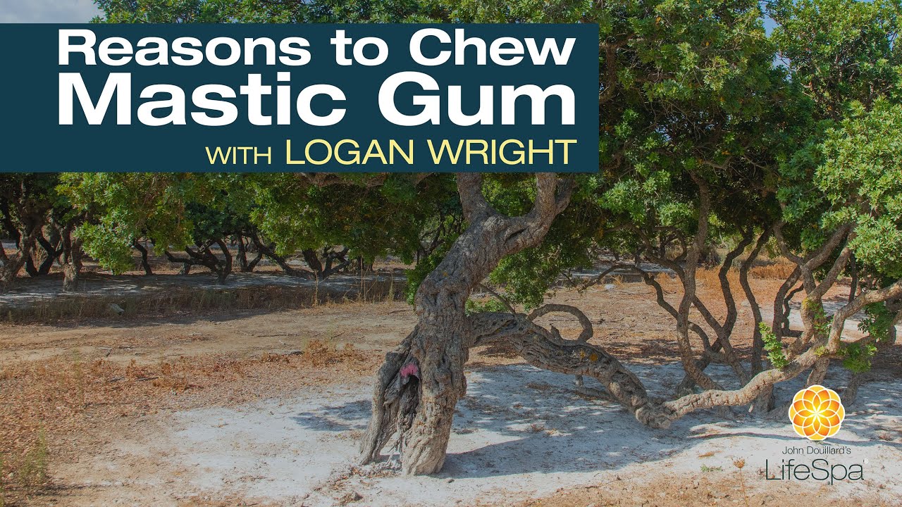 Reasons to Chew Mastic Gum: A Discussion with Logan Wright | Dr. John Douillard's LifeSpa