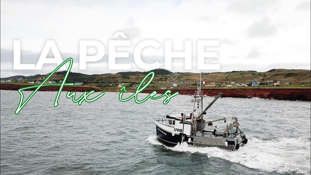 La PÊCHE au CRABE avec des PROS ! - Îles-de-la-Madeleine
