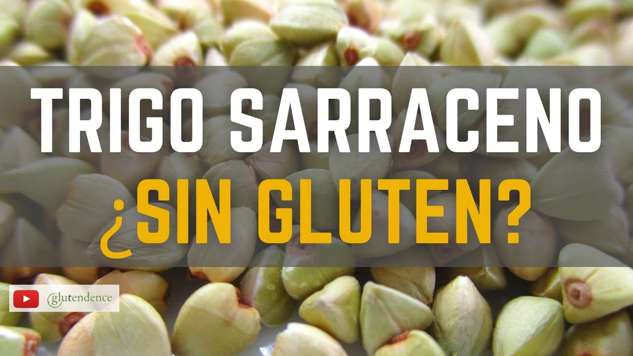 ✅ TRIGO SARRACENO: ¿Qué es? ¿Tiene gluten? Propiedades, y BENEFICIOS