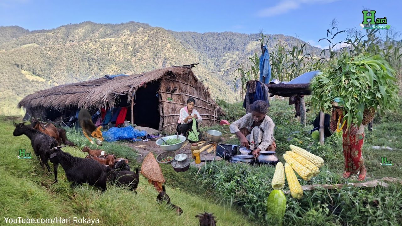 Authentic Family Life in Remote Nepal | Village Cooking & Organic Food