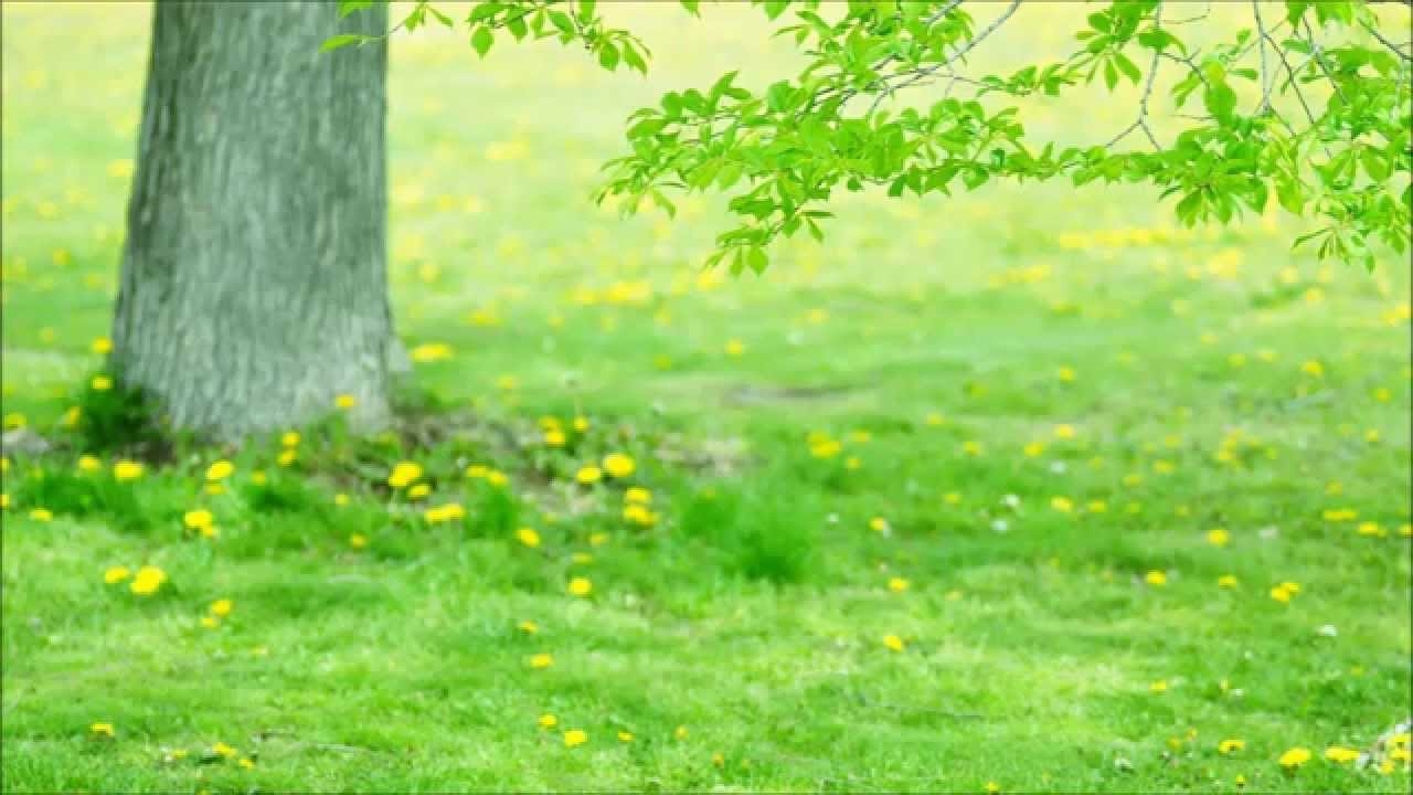 湯野川広美　輝く世界