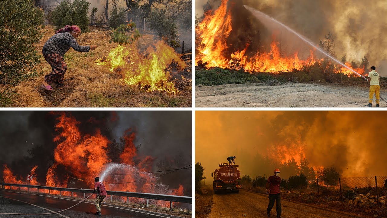 How wildfires are rampaging across Europe: Blazes burn in Turkey, Greece, Italy and Spain
