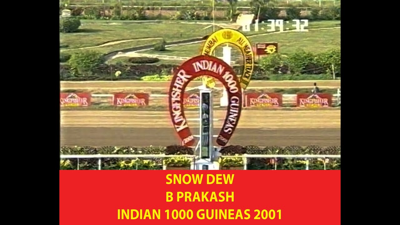 Snow Dew with B Prakash up The Indian 1000 Guineas 2001