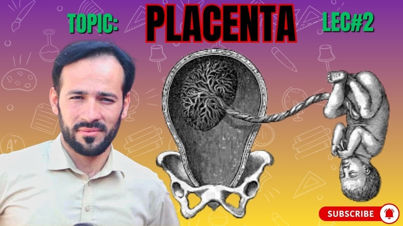 Placenta | Placenta Formation | Placenta Embryology | How placenta is formed | Types | Part-2