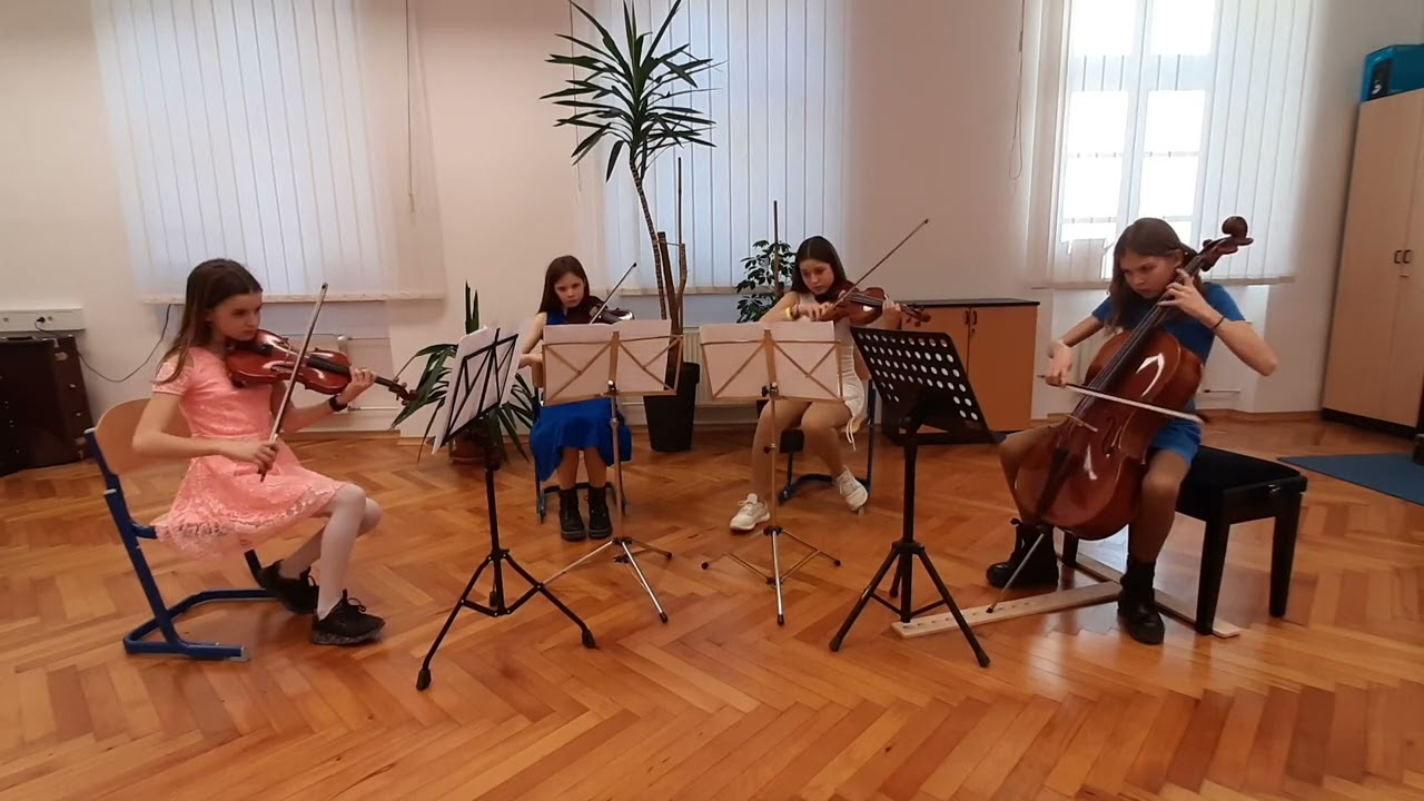 Godalni kvartet Vionotice, Glasbena šola Tržič