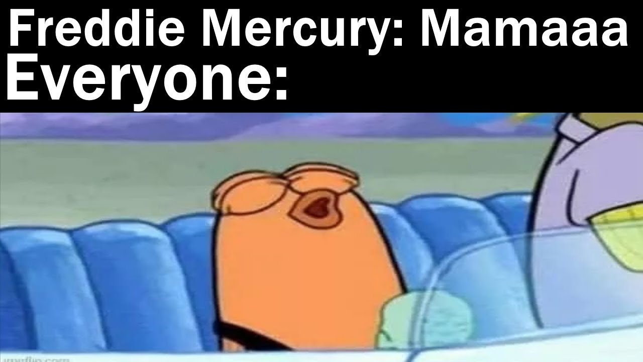 Memes Freddie Mercury Sent Me || Nightly Juicy Memes #71