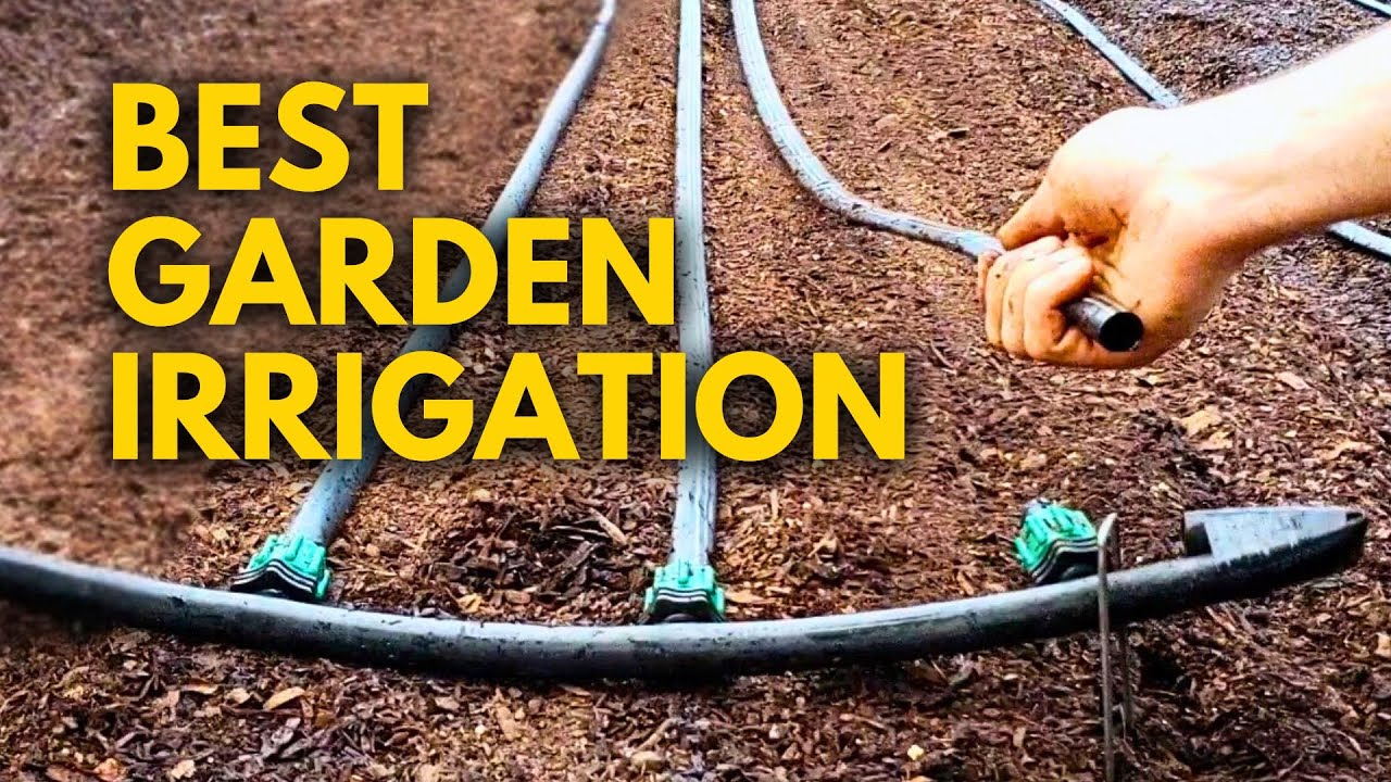 Garden Bed Drip Irrigation (Complete Guide) Save Time & Money