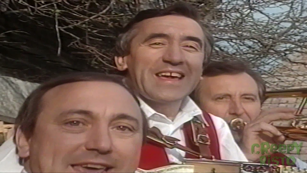 A Musik, die Allen Gfallt - Die Stoakogler VHS