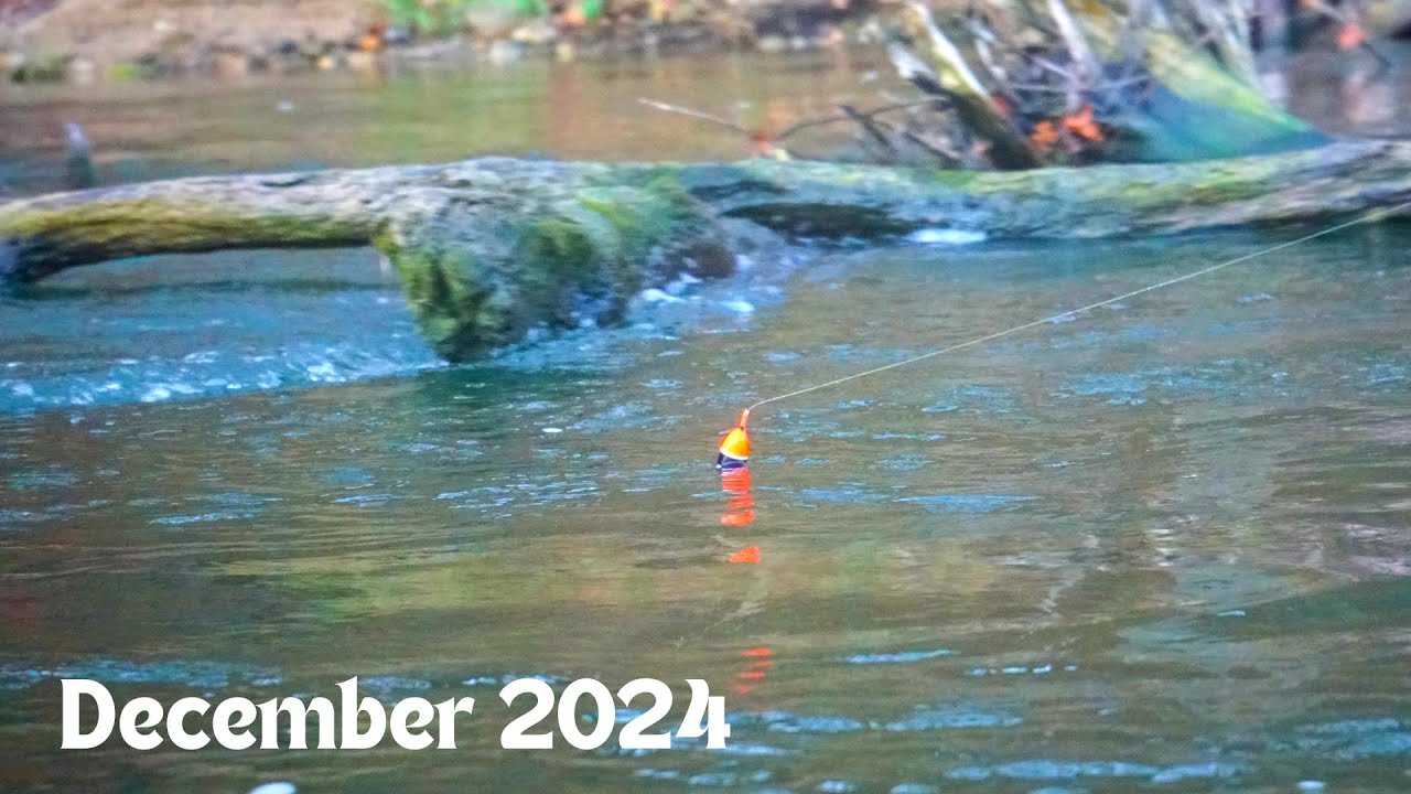 Michigan Steelhead BOBBER DOWNS - 2 Rivers in 2 Days!