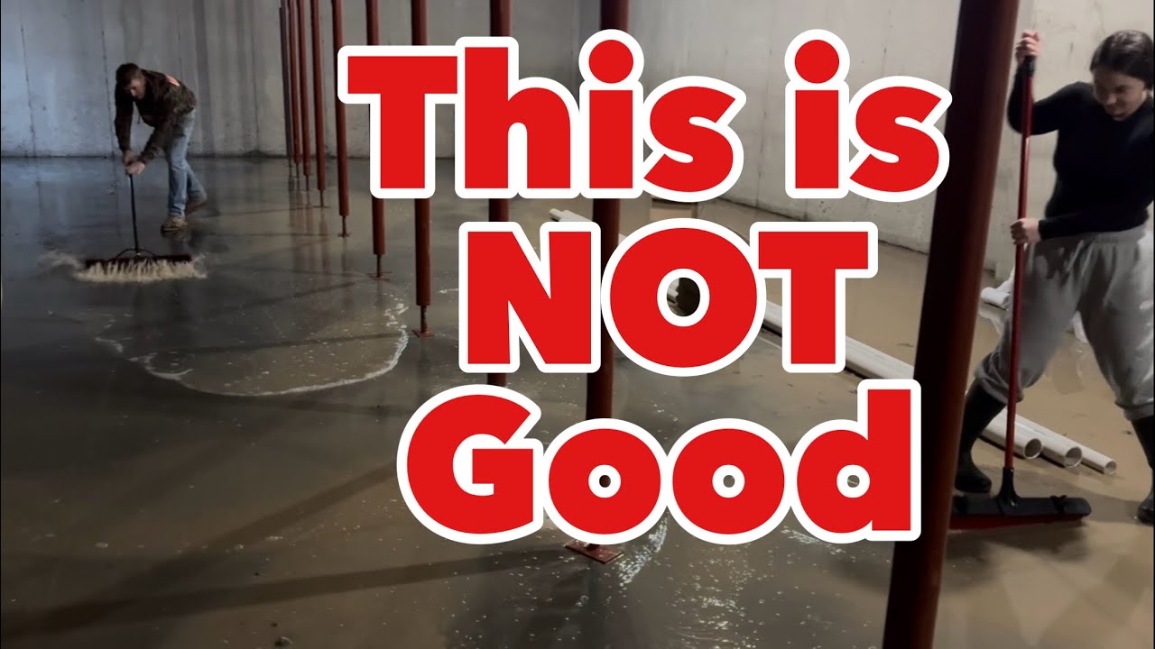 Their Brand New Home is Flooded 