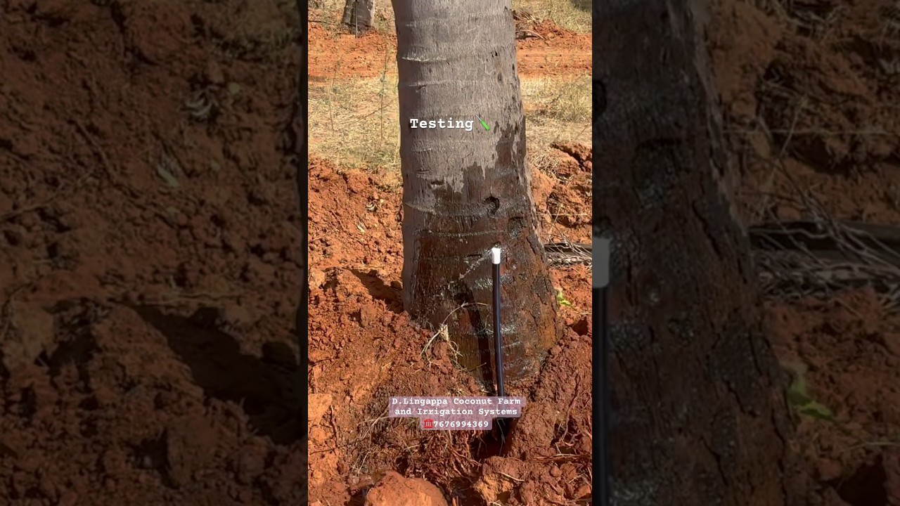 Install the Pvc Underground Drip Irrigation at Nelamangala⚡️ #dlingappa #dripirrigation systems