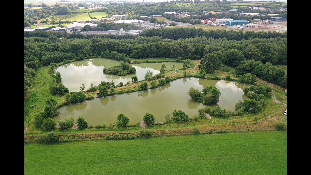Carp Particles UK Hacche Moor Fishery Social 2021