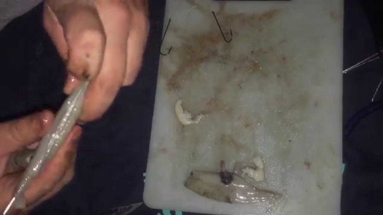 How to prepare a Sandeel and squid wrap