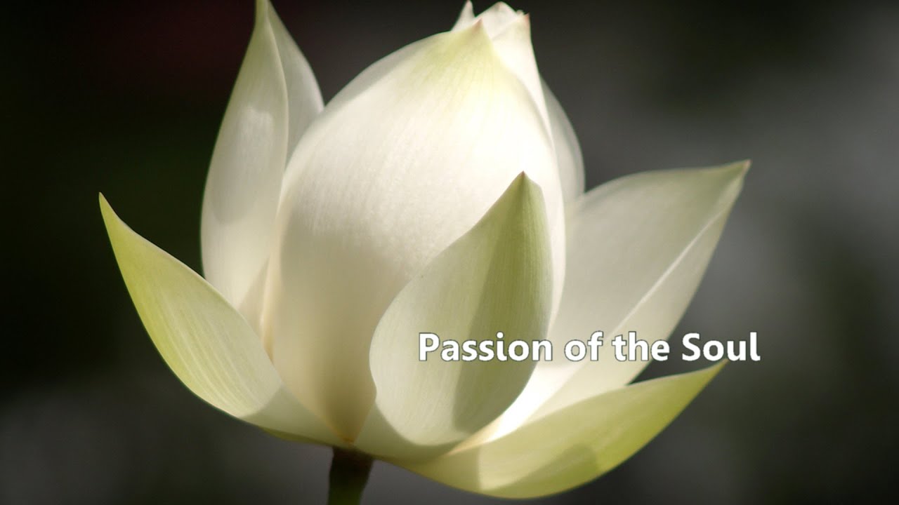 Passion of the Soul