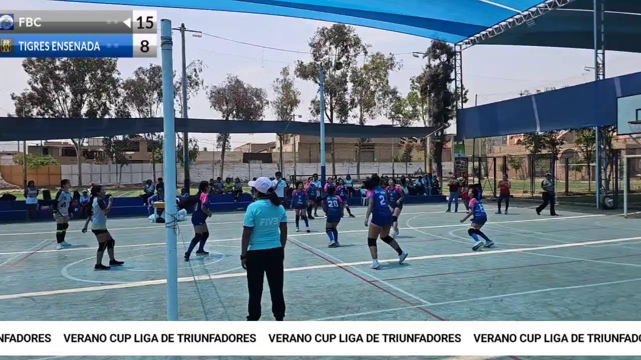 Transmisión en directo de Liga de triunfadores 99