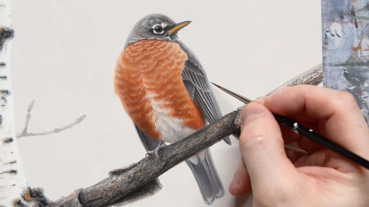 American Robin | Acrylic Painting