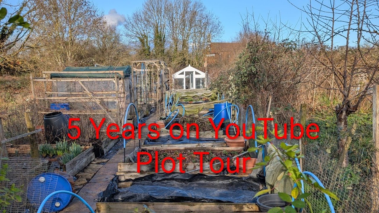5 Years on Youtube January Plot tour 2026