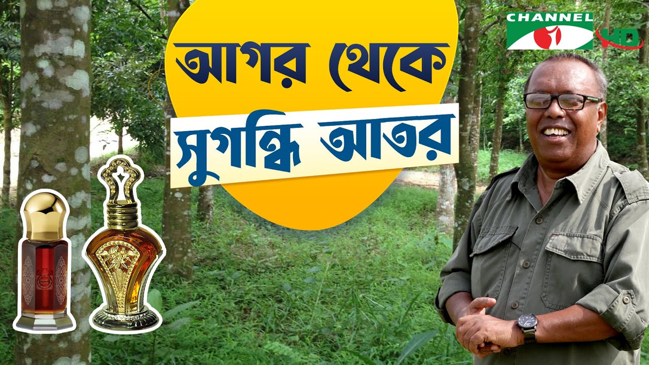 আগর থেকে সুগন্ধি আতরের আঁতুড়ঘর | Shykh Seraj | Channel i |