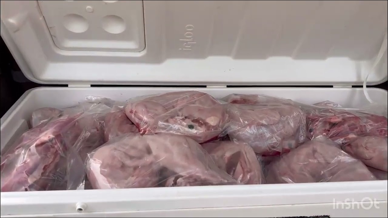 TECHNIQUE DE VENTE DE LA VIANDE DE LAPIN 330kg livré en une semaine c’est facile 🐇🥰.