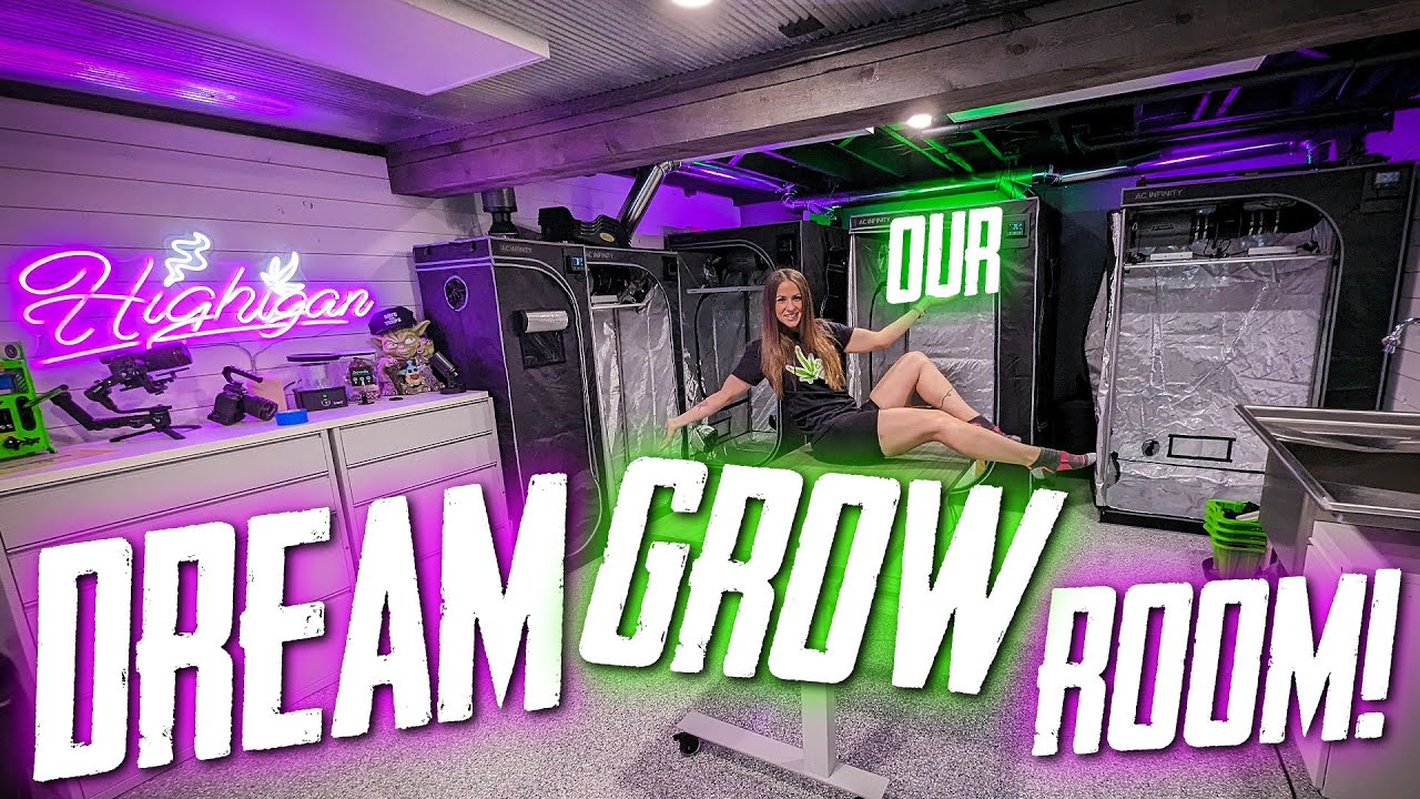 Our Dream Grow Room / Studio!