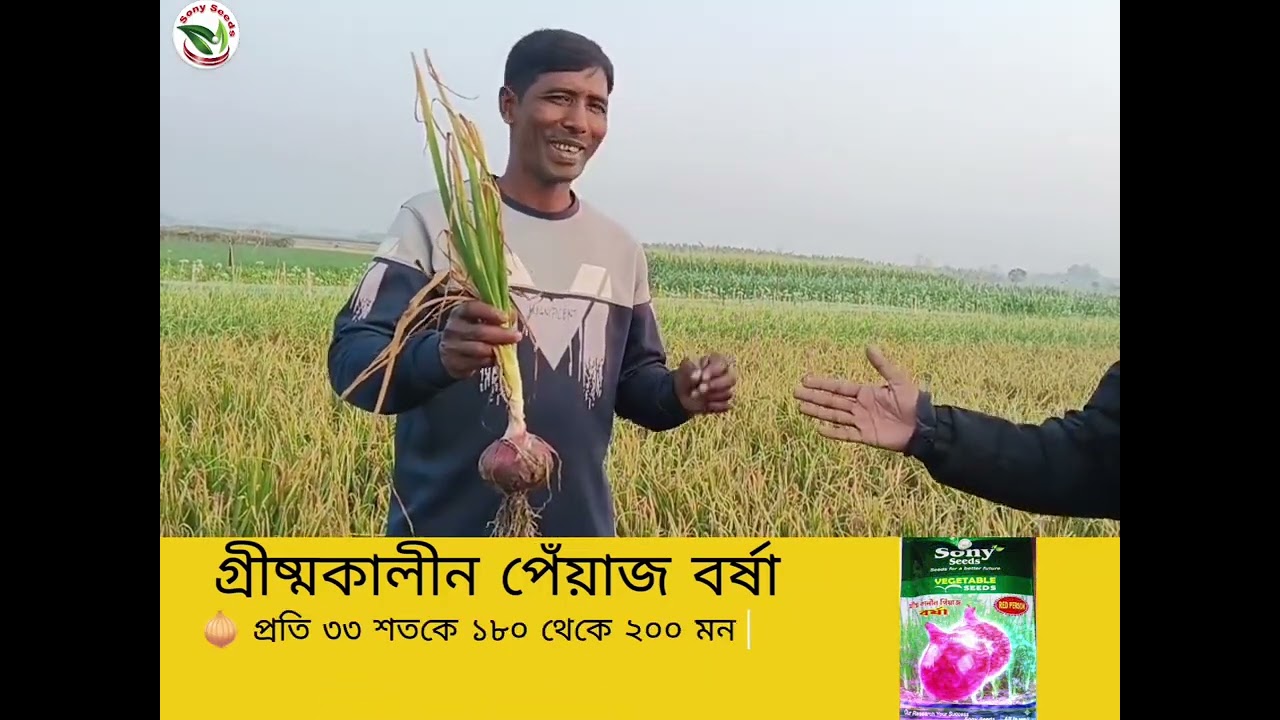 গ্রীষ্মকালীন পেঁয়াজ বর্ষা | sony seeds pvt. ltd.  | BORSHA | বর্ষা। 