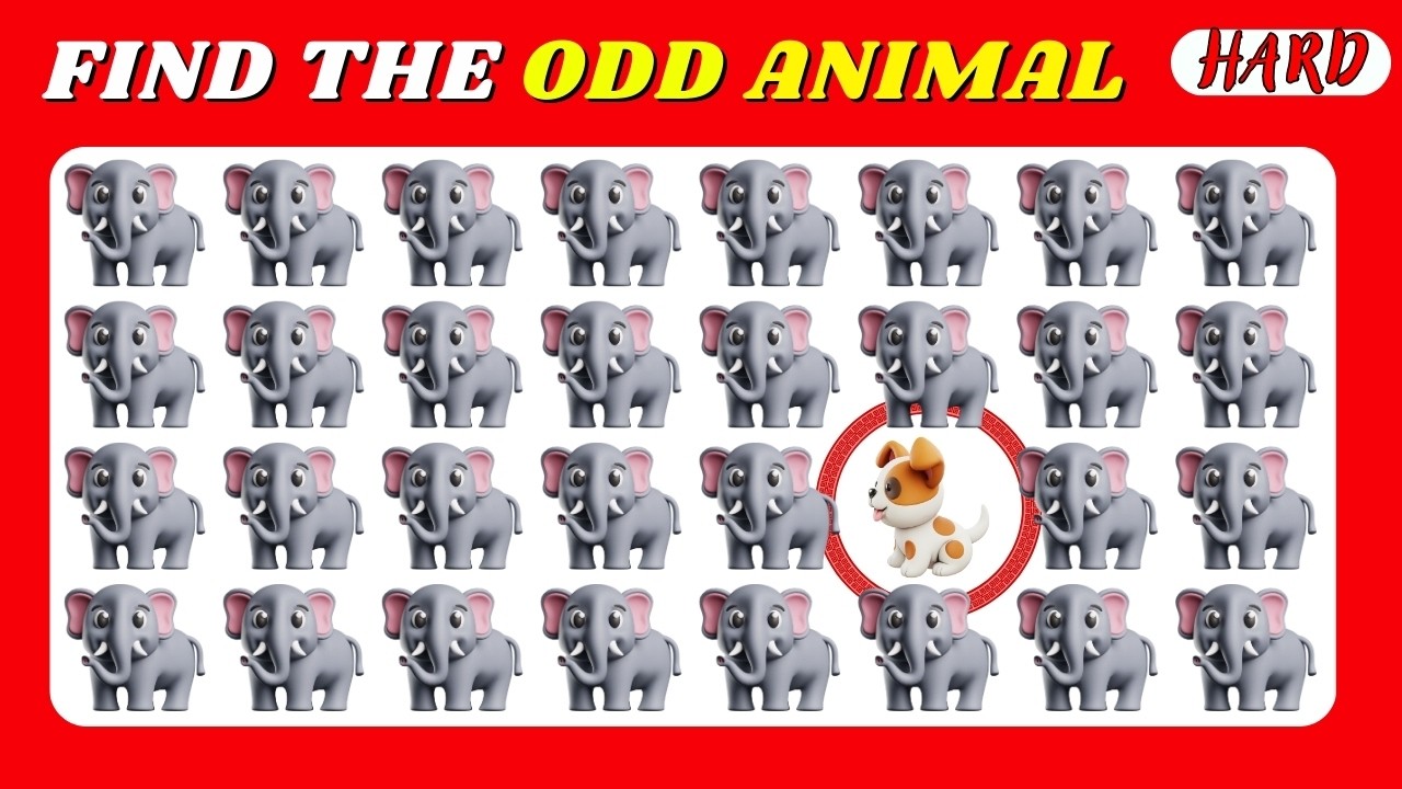 Find The Odd One In 10 Seconds! 🐾 Brain Teaser | Kitty Quiz