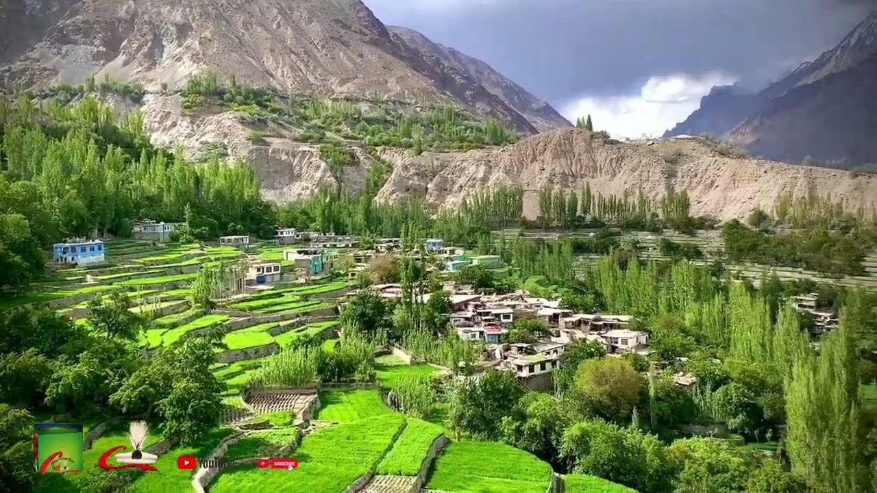 .  Gashaa  Machulo