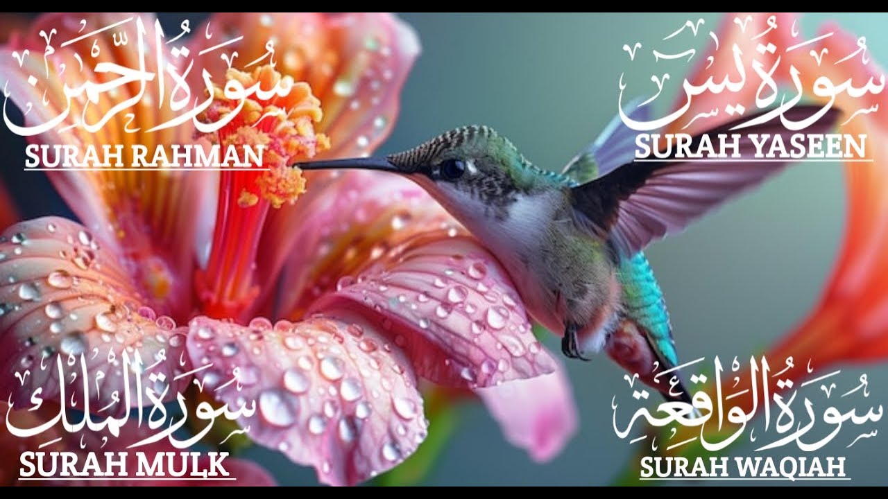 سورة يس،الرحمن، الواقعة،الملك بصوت جميل هادئ مريح للقلب استمع بنية الرزق والبركة وتيسيرالأمور#quran