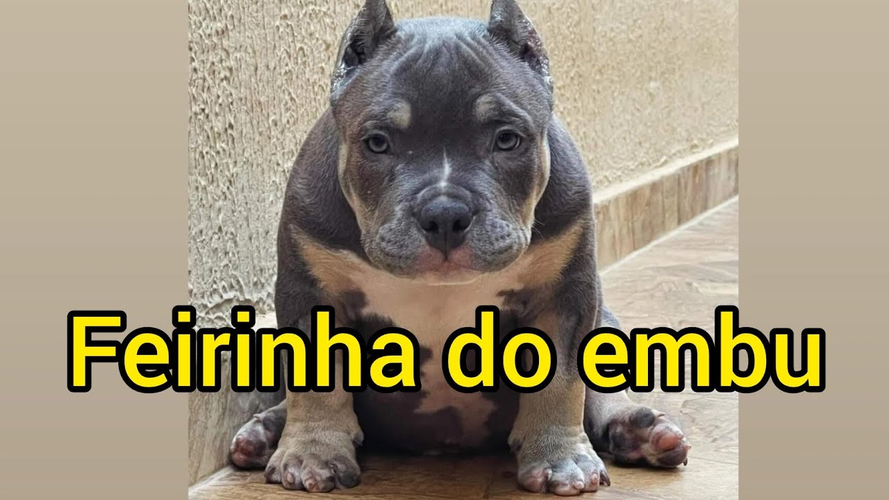 Feirinha do embu das artes #Domingão