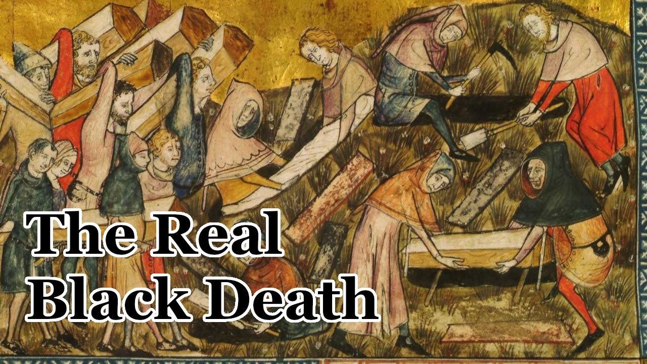 The Truth about the Black Death
