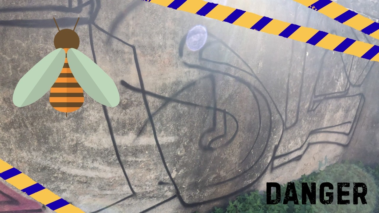 Wasps Started Stinging Me While Painting Graffiti