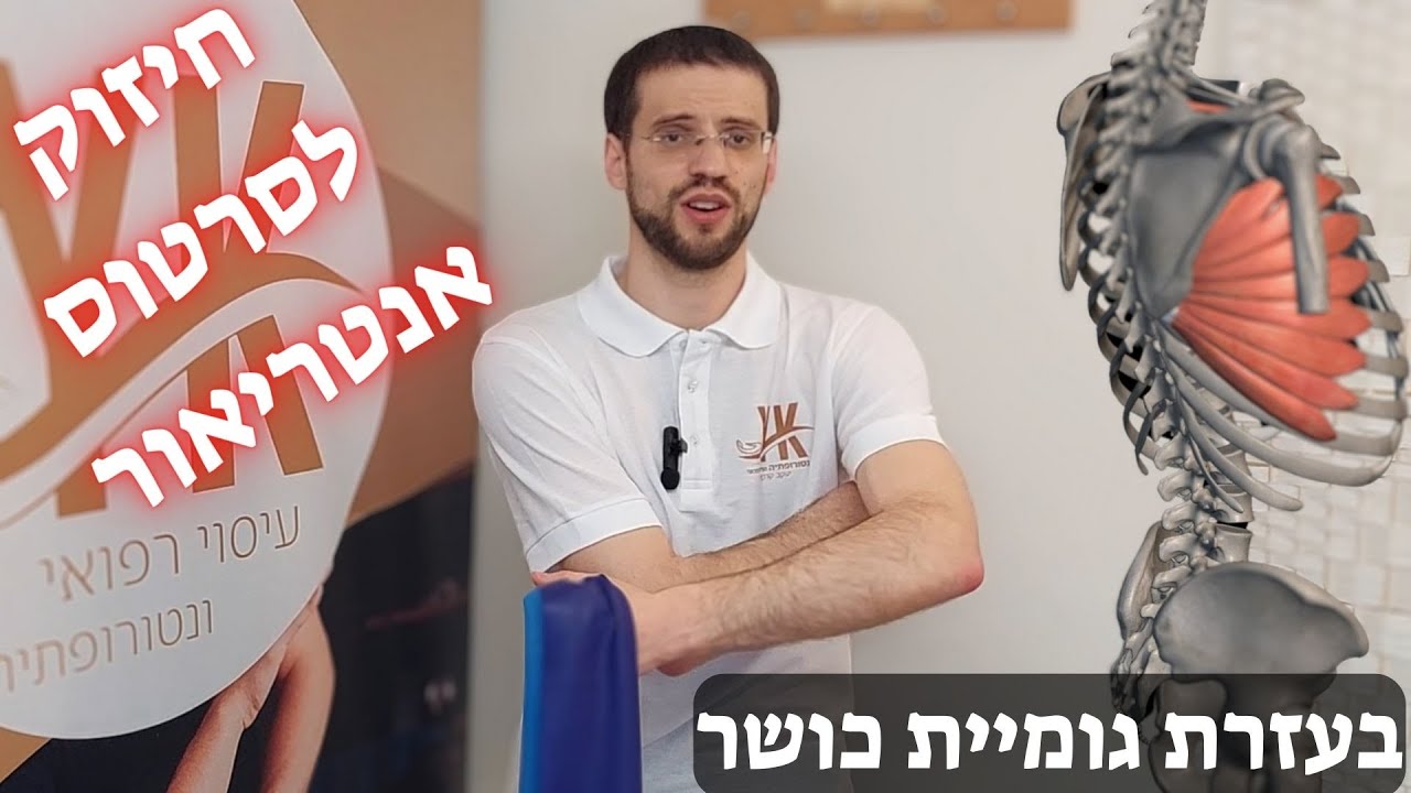 חיזוק לסרטוס אנטריאור (שריר המסור הקדמי) עם גומיות כושר | סדרת חיזוק לשרירים