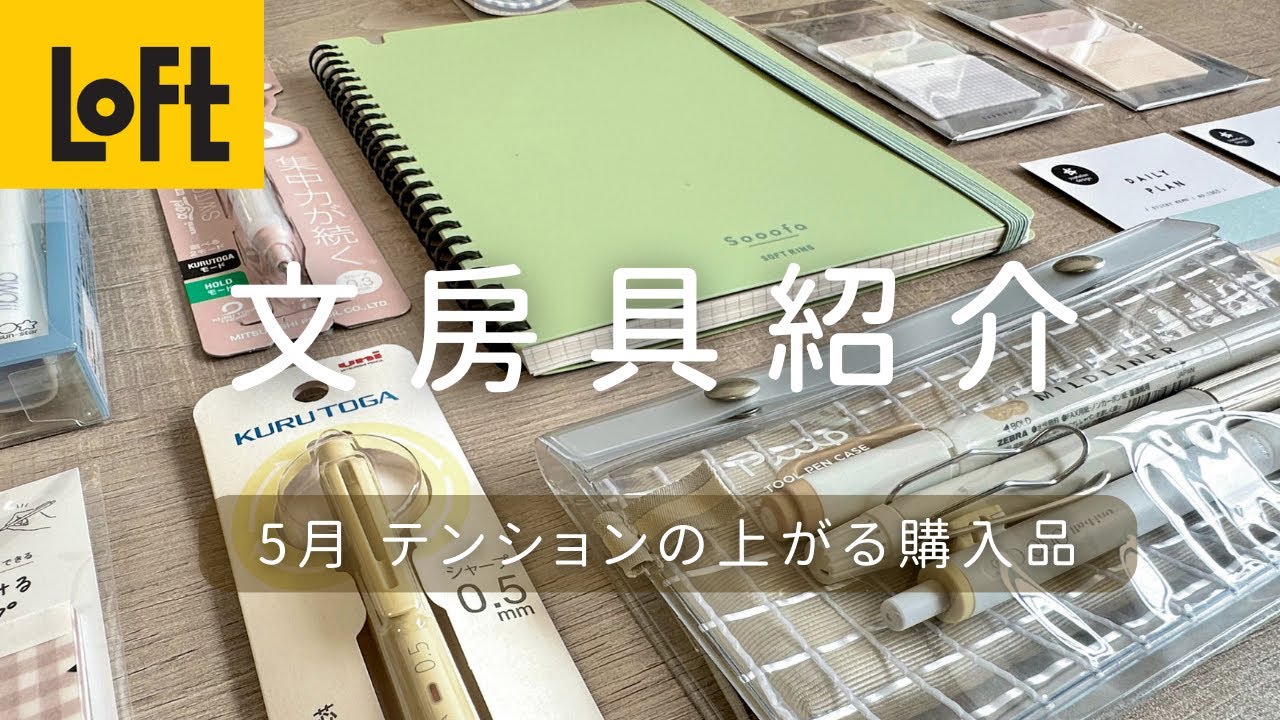 【文房具紹介】LOFTで買った文房具！テンションの上がる購入品紹介