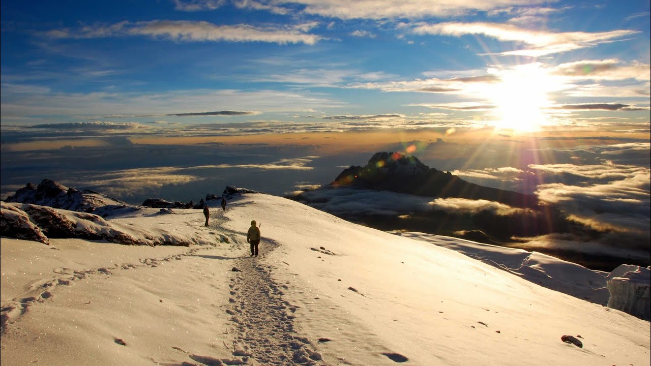 Serengeti Safari + Kilimanjaro Northern Circuit - 14 day Itinerary