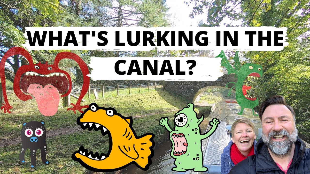 What's Lurking in the Canal?