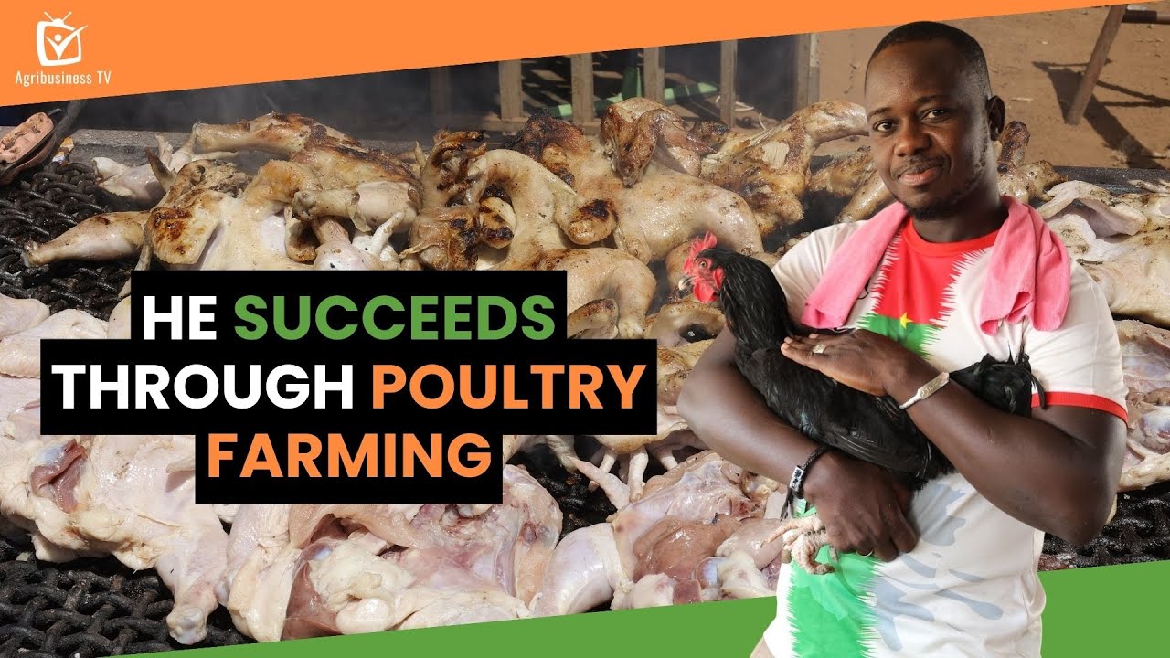 Burkina Faso: He succeeds through poultry farming