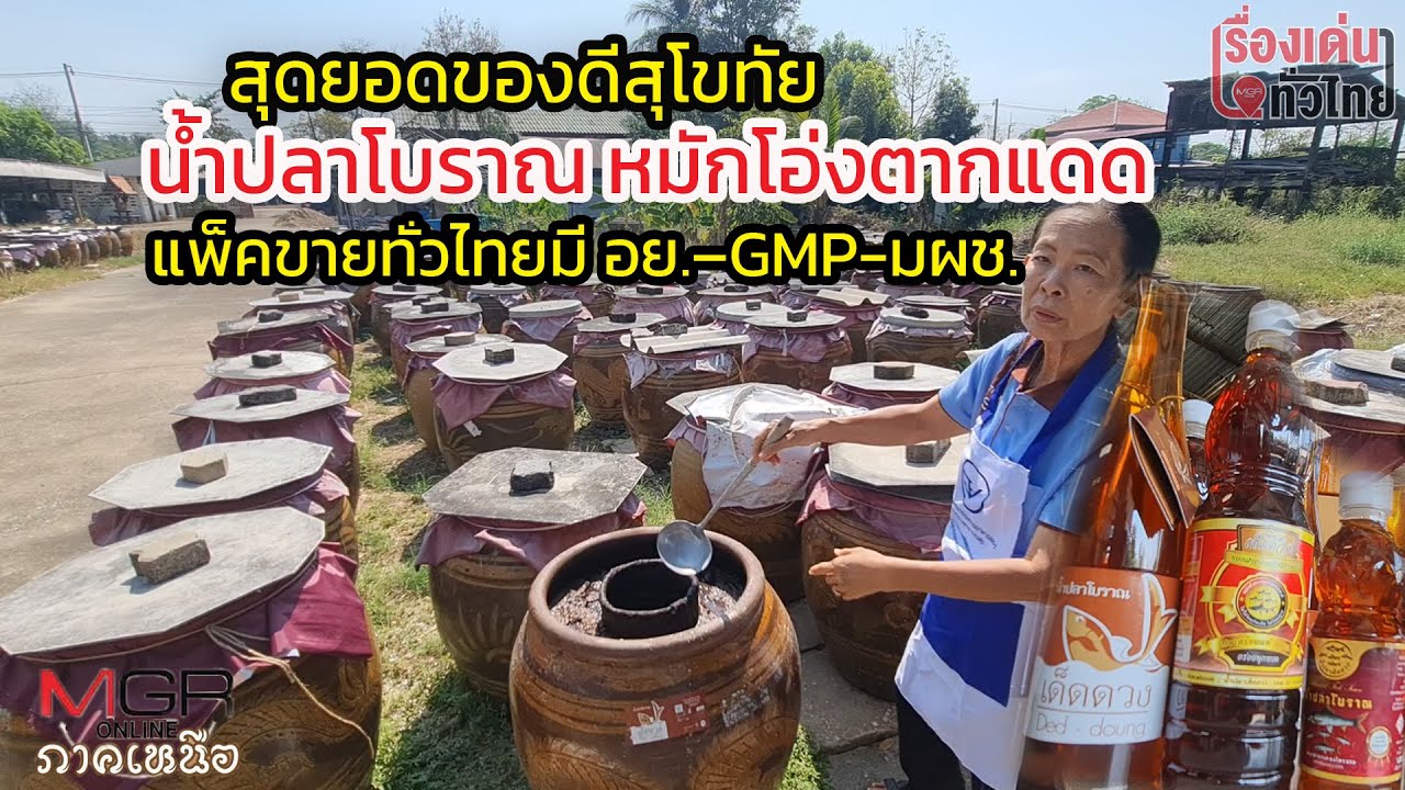 สุดยอดของดีสุโขทัย น้ำปลาโบราณ หมักโอ่งตากแดด : เรื่องเด่นทั่วไทย