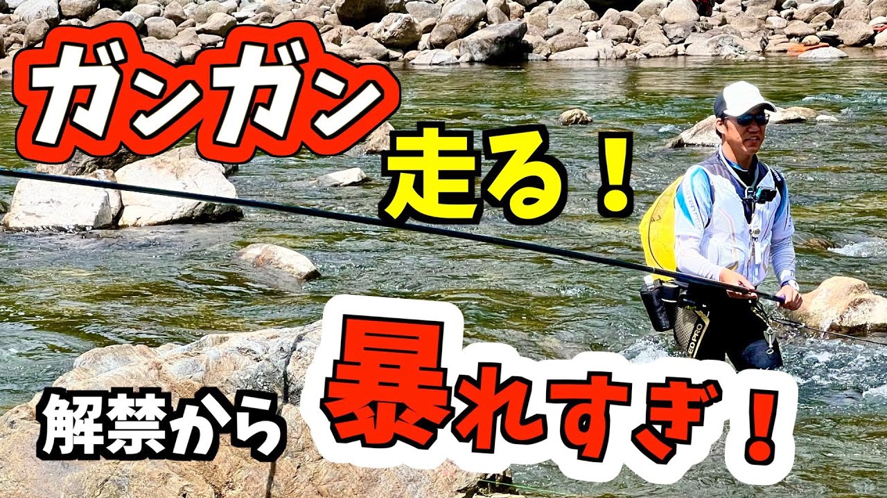 【鮎釣り2023】宮川下流の「なたべら鮎」が解禁日から暴れる？！