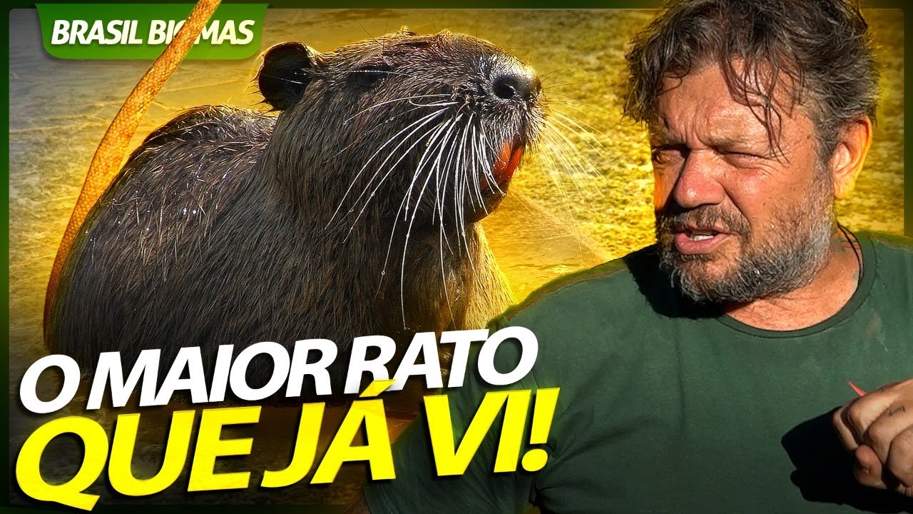 RATÃO DO BANHADO, O MAIOR RATO QUE JÁ VI! | RICHARD RASMUSSEN