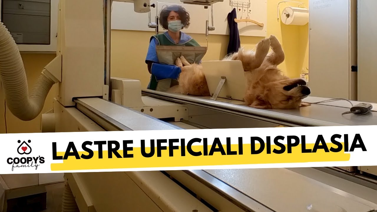 Lastre UFFICIALI displasia: perchè le abbiamo fatte?