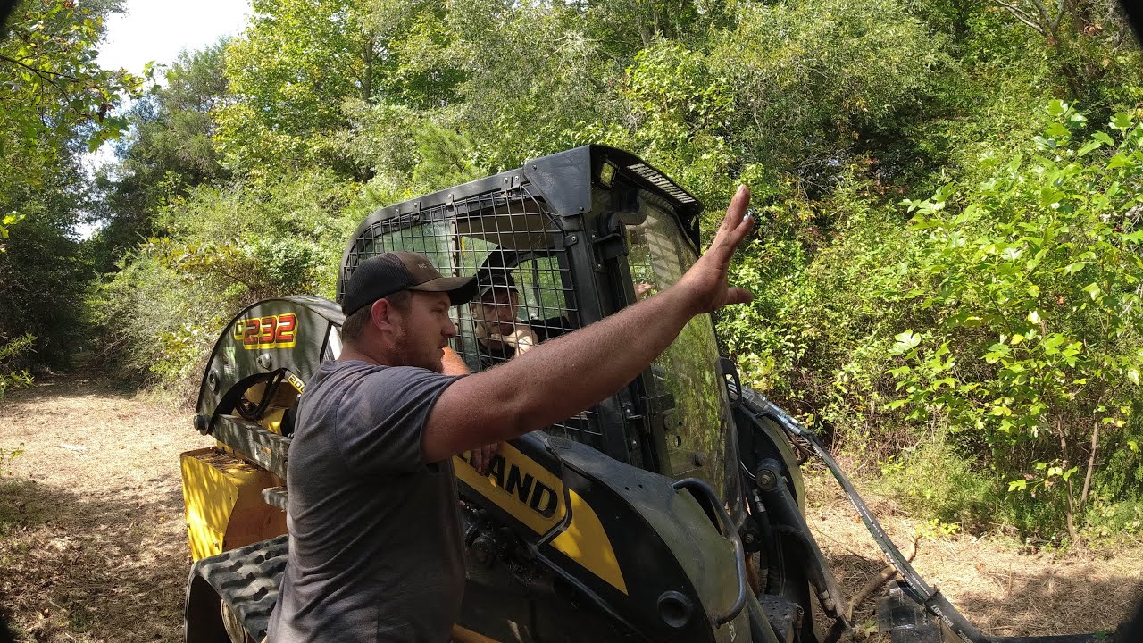Clearing Out and Old Logging Road