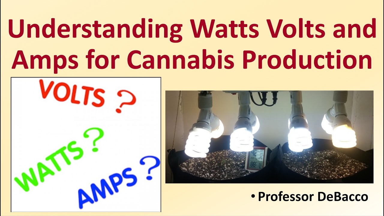 Understanding Watts Volts and Amps for Cannabis Production